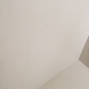 Meet your Posher, Leleighton